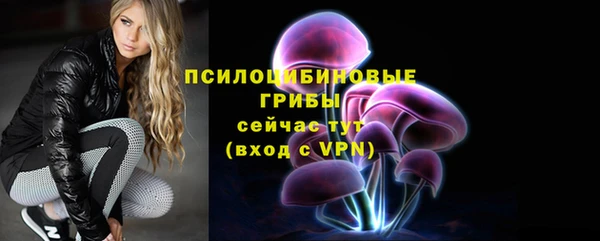 не бодяженный Краснослободск